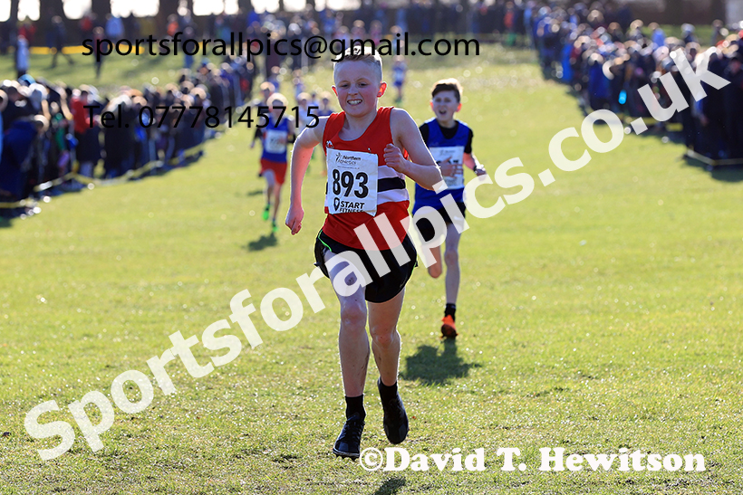 Boys under-13s 2025 Northern Cross Country Champs, Tatton Park, Knutsford, Cheshire. Photo: David T. Hewitson/Sports for All Pics